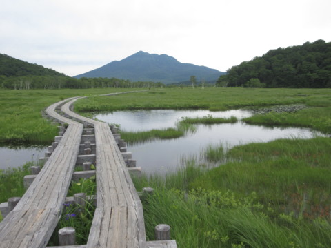 燧ケ岳（ひうちがたけ）